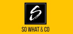 blob.bleu-logo-SoWhatAndCo Blob.blue site ecommerce SoWhatAndCo